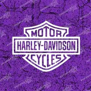 Harley davidson 2 stickers